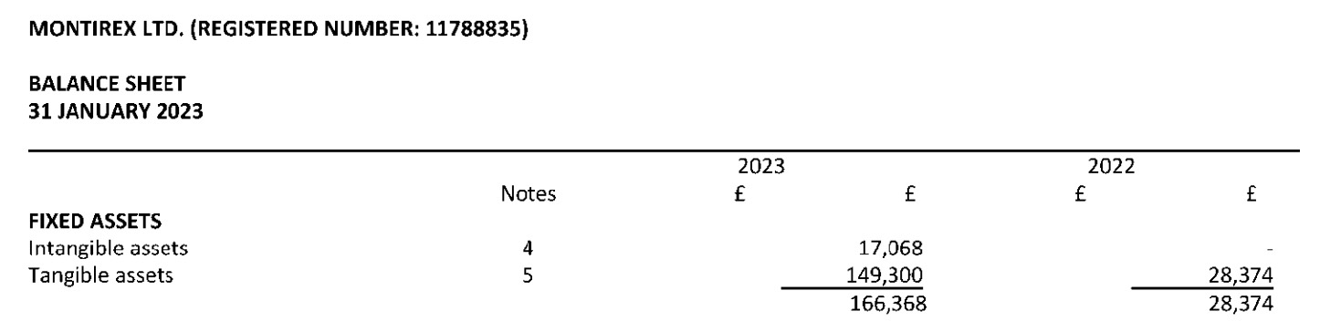 Example of intangible assets on a balance sheet