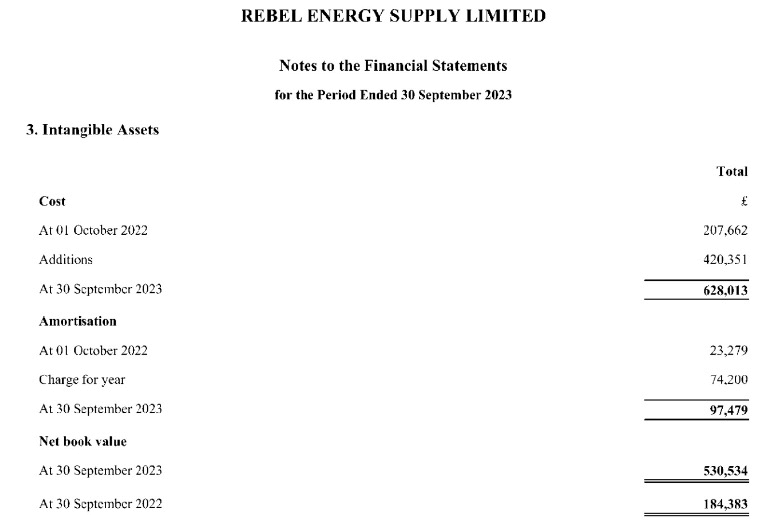 Example of notes to the financial statements showing intangible assets, amortisation expense, and net book value.